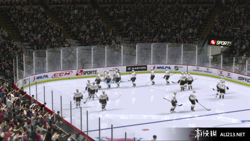 《北美冰球联赛2K9》PS3截图