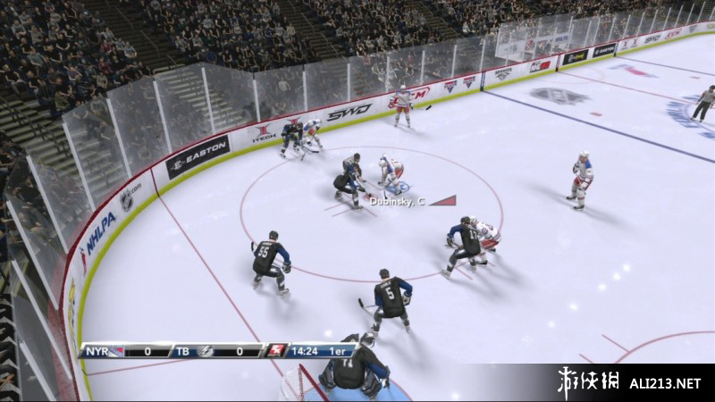 《北美冰球联赛2K9》PS3截图