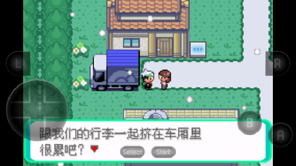 《口袋妖怪革命宝石》游戏截图