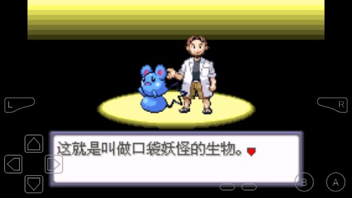 《口袋妖怪命运红宝石2》游戏截图