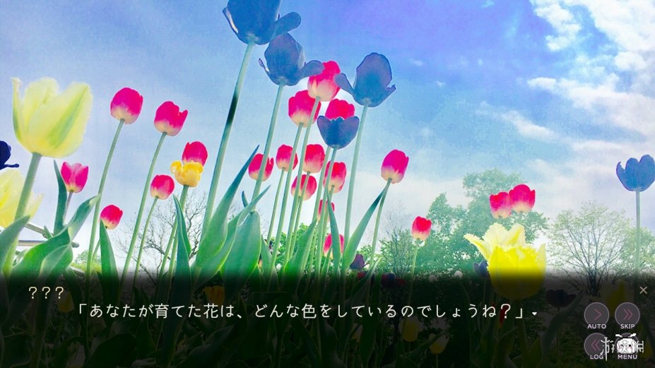 《精神病芙蕾希亚：开花深渊》游戏截图