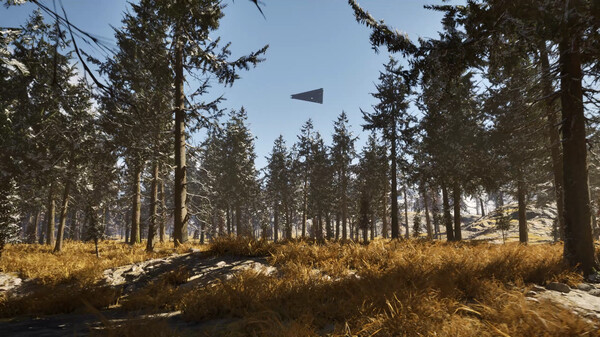 《诅咒西部》游戏截图