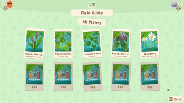 《四处走动》游戏截图