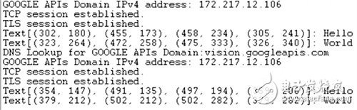 GCP 视觉 API 响应产生的终端输出图片