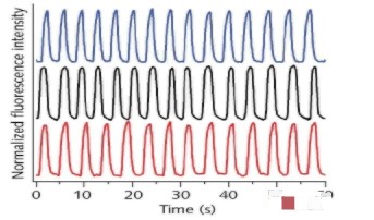 微流控在便携式紫外水质传感器中的角色