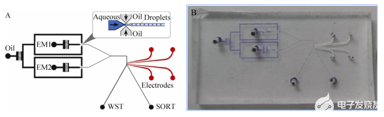 基于液滴微流体的微流控芯片系统的研究