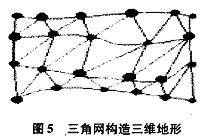Delaunay三角网的构网规则生成三角网