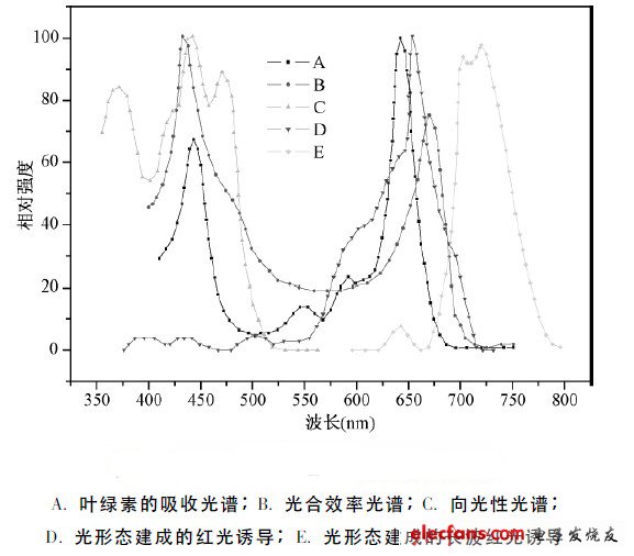 图1 五个主要的植物光生化反应作用光谱