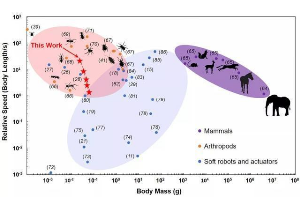 清华大学与加州大学伯克利分校共同开发软体机器人