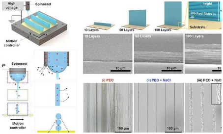 纳米电子在生物医学设备中具有广泛的潜在应用
