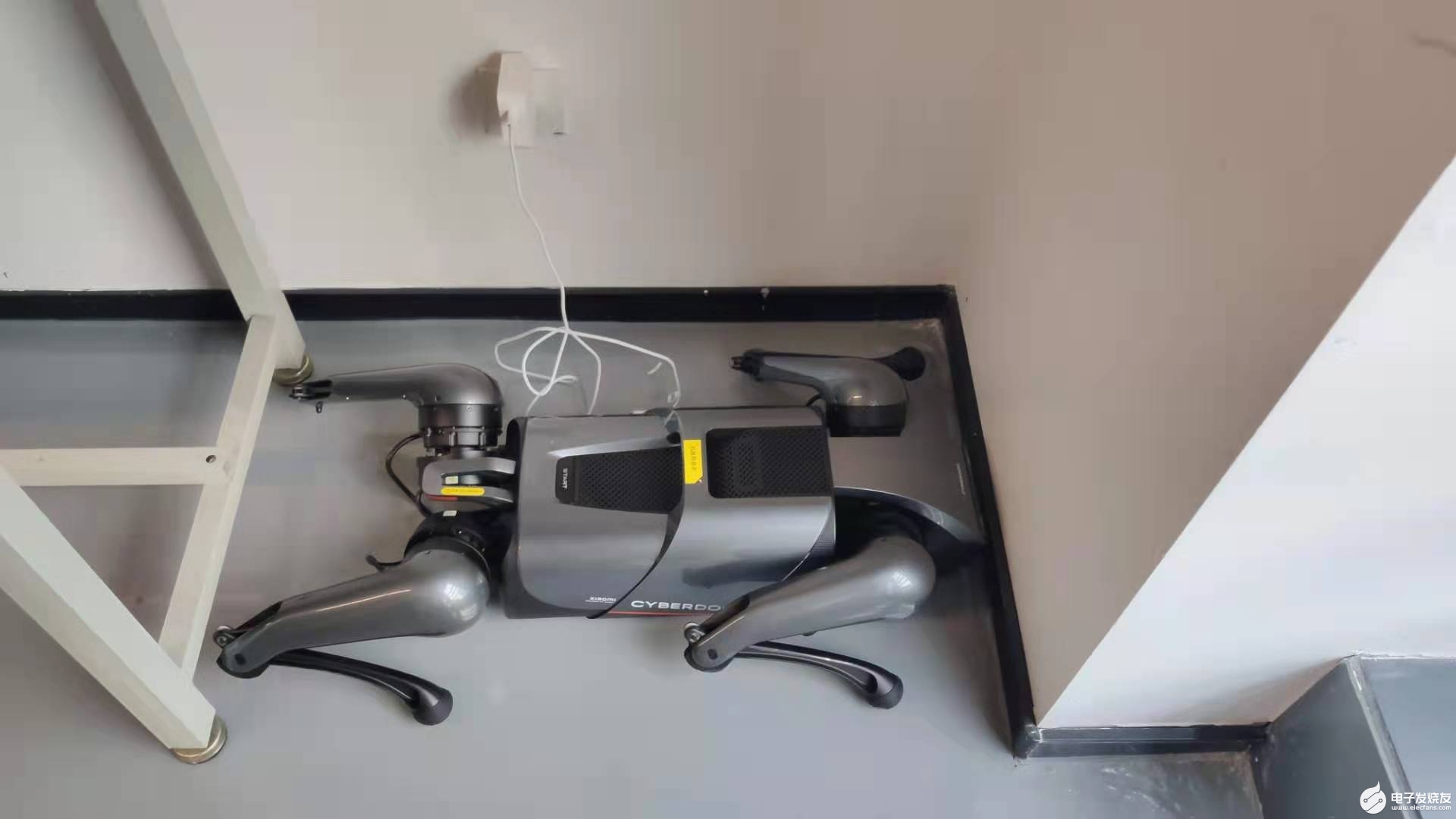 年轻人的第一条机器狗 -铁蛋(憨憨)