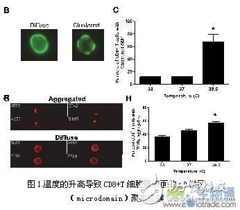 基于高内涵显微成像流式细胞仪的免疫学研究