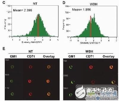 基于高内涵显微成像流式细胞仪的免疫学研究