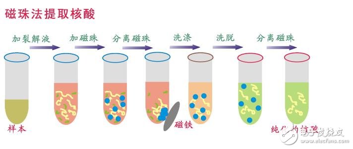 什么是生物磁珠_磁珠法提取DNA简介