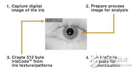 各种生物识别技术原理汇总介绍