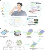 开发一种可拉伸、耐用型、高密度表面肌电图电极(H...