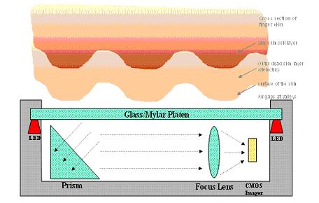 光学式指纹采集图