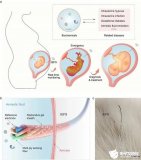 优碧技术完成数千万元A+轮融资，华工科技探索“激...