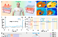 一种用于可穿戴和个人热管理的柔性热电材料