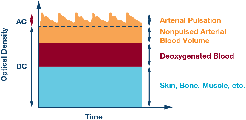 pYYBAGPYfsGAPVUQAAAz0TTBivo775.png?la=en&imgver=1