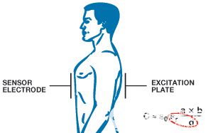 poYBAGPGEFyAaWIwAAAe5O26OuA897.jpg?la=en&imgver=2