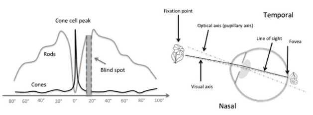 详谈AR/VR/MR数字光学元件和技术