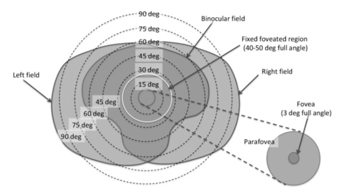 详谈AR/VR/MR数字光学元件和技术