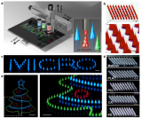 基于墨水直写3D打印技术的多功能微针贴片，用于个...