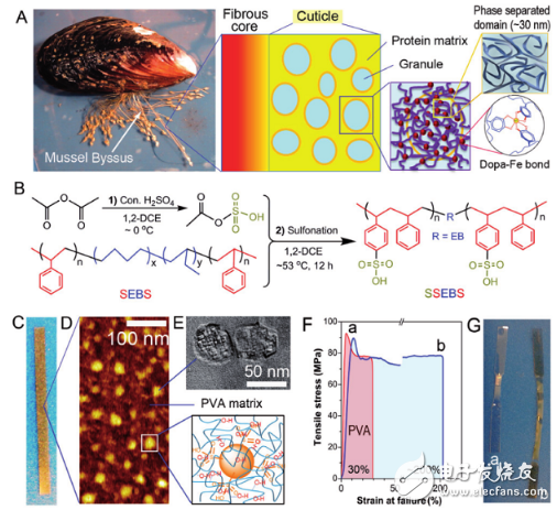 浅谈高延展性和强度超高分子材料的研制及工业应用技术研究