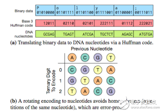 DNA存储延续千年的承载介质,可将数据压缩至方糖大小